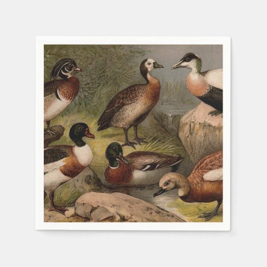 Kleurig schilderij van eenden servet (Voorkant)