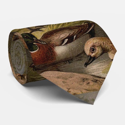 Kleurig  schilderij van eenden stropdas (Opgerold)