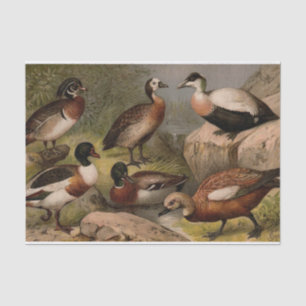 Kleurig schilderij van eenden tissuepapier