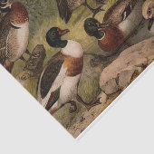 Kleurig  schilderij van eenden tissuepapier (Detail)