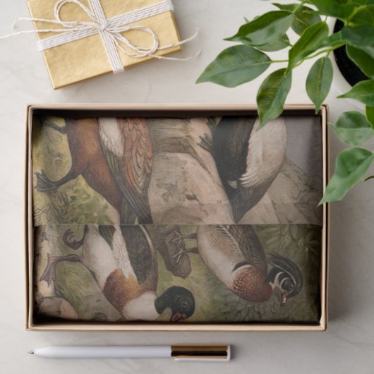 Kleurig  schilderij van eenden tissuepapier (Geschenk)