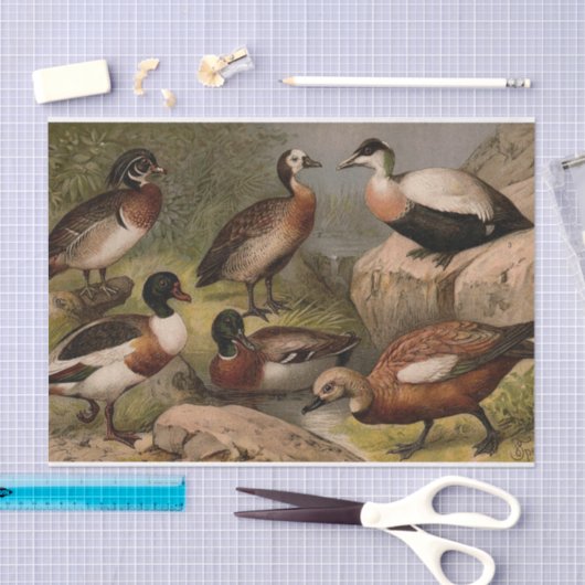 Kleurig schilderij van eenden tissuepapier (Craft)