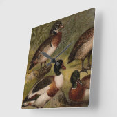 Kleurig  schilderij van eenden vierkante klok (Hoek)