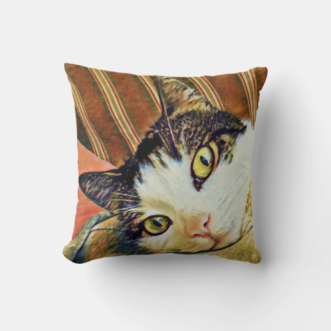 Kleurige kattenworp kussen (Voorkant)