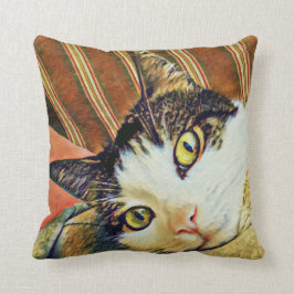 Kleurige kattenworp kussen