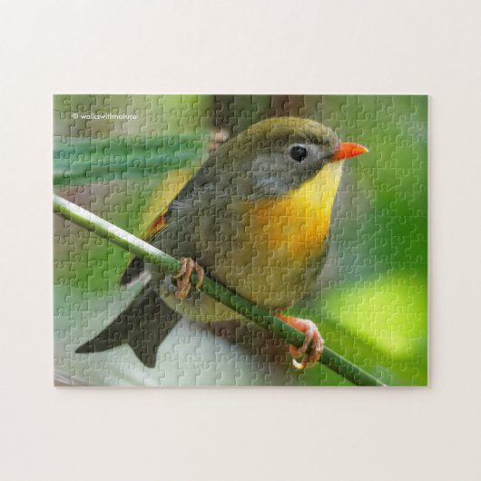 Kleurige Leiothrix / Pekin Robin Zangvogel Legpuzzel (Horizontaal)