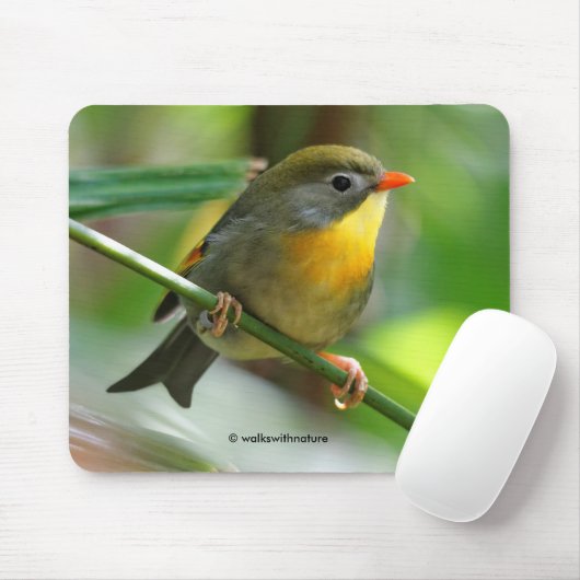 Kleurige Leiothrix / Pekin Robin Zangvogel Muismat (Met muis)