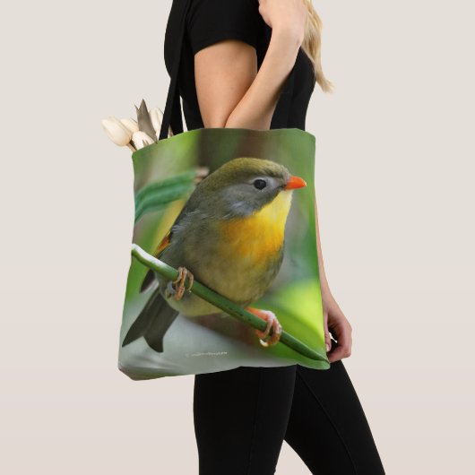 Kleurige Leiothrix / Pekinglijsterg zangvogel Tote Bag (Dichtbij)