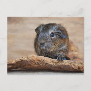 Kleuring van kleine cavia's briefkaart