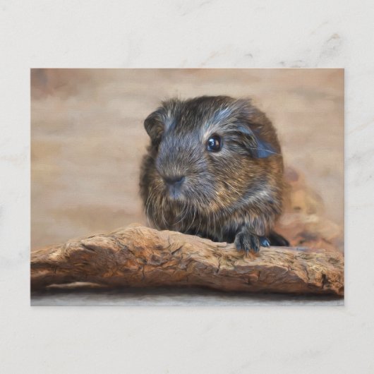 Kleuring van kleine cavia's briefkaart (Voorkant)