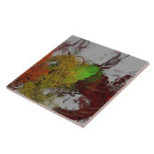 Kleurinvasie Tegeltje (Zijkant)