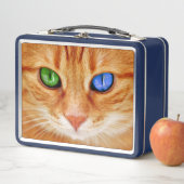 Kleurkleurige kattenogen (In situ)