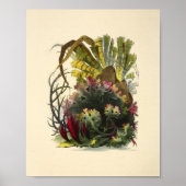 Kleurkoraal Kunststof Ocean Garden Art Afdrukken Poster (Voorkant)