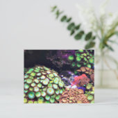 Kleurlijk koraalrif briefkaart (Staand voorkant)