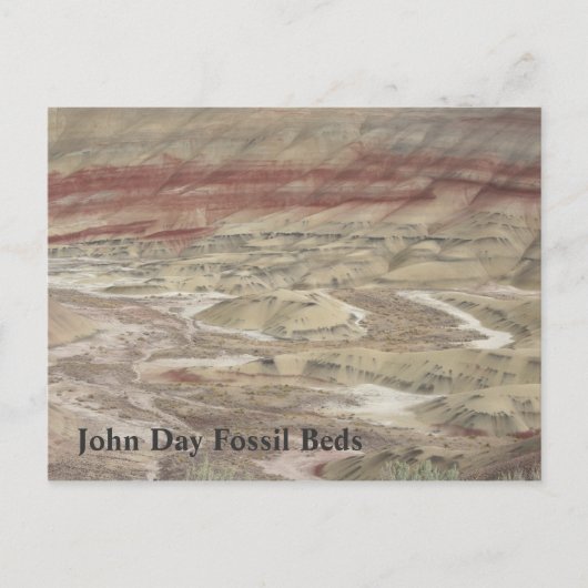 Kleurlijnen Briefkaart (Voorkant)