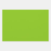 Kleurloze papegaai, licht groen inpakpapier vel (Voorkant)