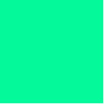 kleurmedium groen staand fotobeeldje<br><div class="desc">kleurmedium lentegroen 00FA9A</div>