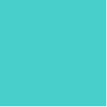 kleurmedium turquoise staand fotobeeldje<br><div class="desc">kleurmedium turquoise 48D1CC</div>