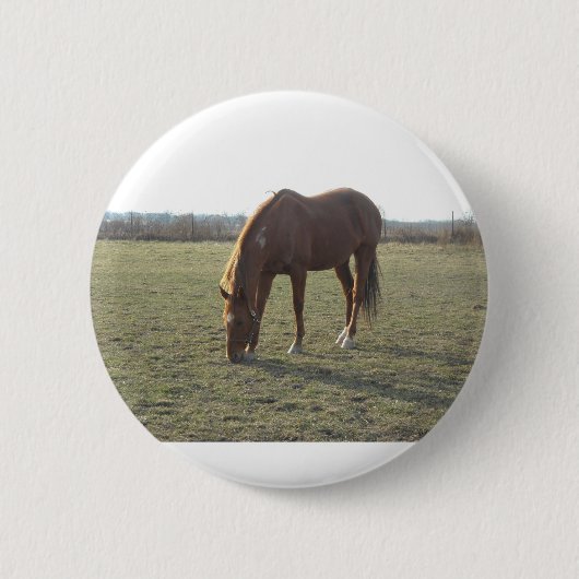 Kleurpaard van kastanje ronde button 5,7 cm (Voorkant)