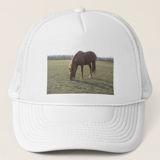 Kleurpaard van kastanje trucker pet (Voorkant)