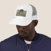 Kleurpaard van kastanje trucker pet (In situ)