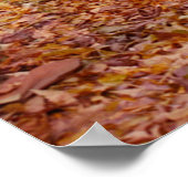 Kleurpad Poster (Hoek)