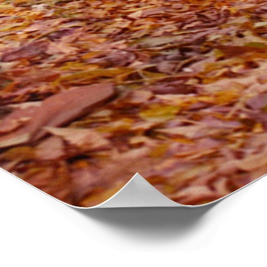 Kleurpad Poster (Hoek)