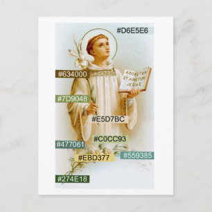 Kleurpalet voor St. Viator de catechist (BF 02) Briefkaart