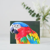 Kleurpapegaaivogel Briefkaart (Staand voorkant)