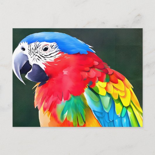 Kleurpapegaaivogel Briefkaart (Voorkant)