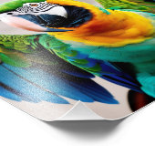 Kleurpapegaaivogel Foto Afdruk (Hoek)