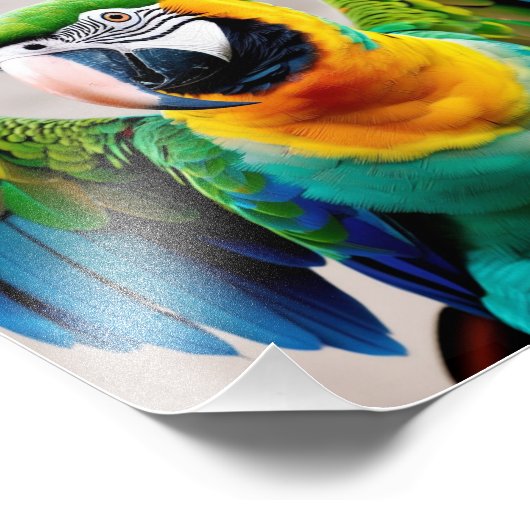 Kleurpapegaaivogel Foto Afdruk (Hoek)