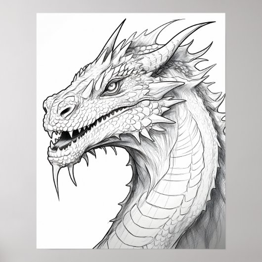 Kleurplaat - Dragon, kleur je eigen Poster (Voorkant)