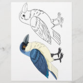 Kleurplaat met een leuke cartoonvogel flyer (Voorkant)