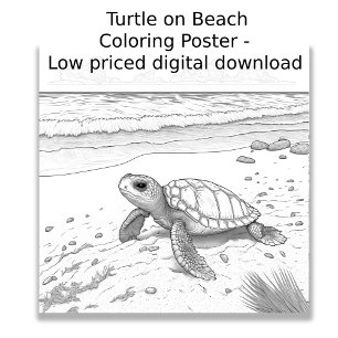 Kleurplaat - Schildpad op het strand, kleur je eig Poster
