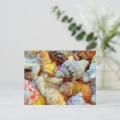 Kleurrijk Afbeelding van zeeschelpen leeg Briefkaa Briefkaart (Staand voorkant)