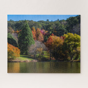 Kleurrijk Autumn Boom Landschap, 520 stuks Legpuzzel