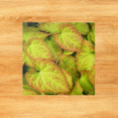 Kleurrijk Barrenwort Plant laat Floral Tegeltje