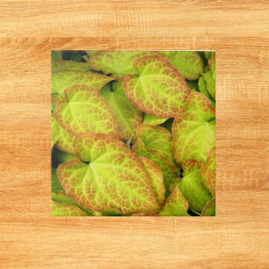 Kleurrijk Barrenwort Plant laat Floral Tegeltje