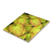 Kleurrijk Barrenwort Plant laat Floral Tegeltje (Zijkant)