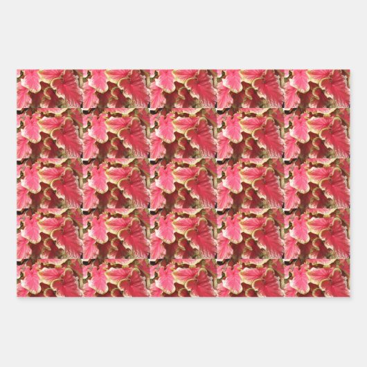 Kleurrijk Caladium laat Floral Pattern Inpakpapier Vel (Voorkant 2)