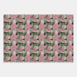 Kleurrijk Caladium laat Floral Pattern Inpakpapier Vel