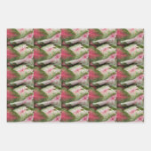 Kleurrijk Caladium laat Floral Pattern Inpakpapier Vel (Voorkant 3)