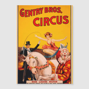  kleurrijk Circus Performer Poster