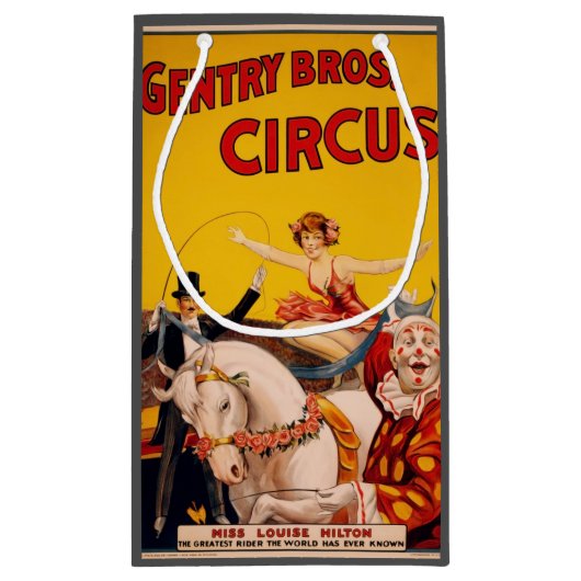  kleurrijk Circus Performer Poster Klein Cadeauzakje (Achterkant)