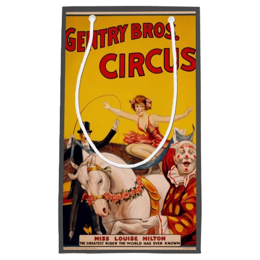  kleurrijk Circus Performer Poster Klein Cadeauzakje (Voorkant)