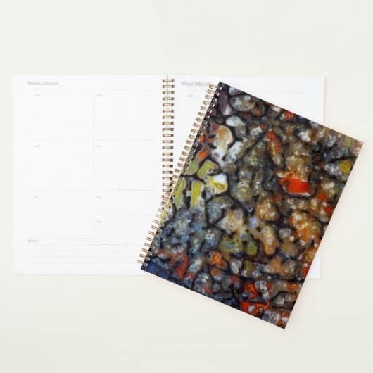 Kleurrijk dinosaurusbot planner (Display)