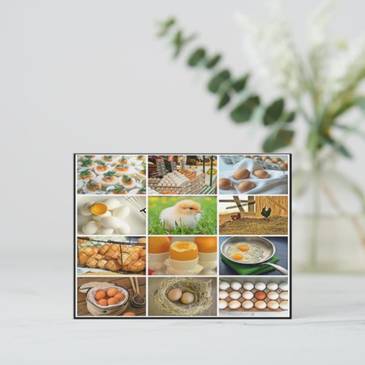 Kleurrijk eierkippenproduct collage briefkaart (Staand voorkant)