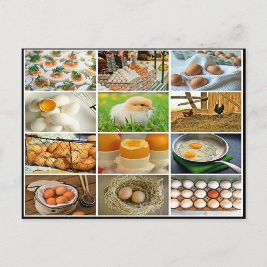 Kleurrijk eierkippenproduct collage briefkaart (Voorkant)
