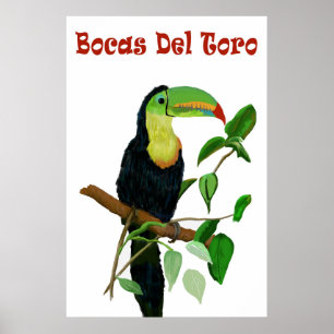 Kleurrijk en Tropisch Panamas Toucan-Poster. Poster